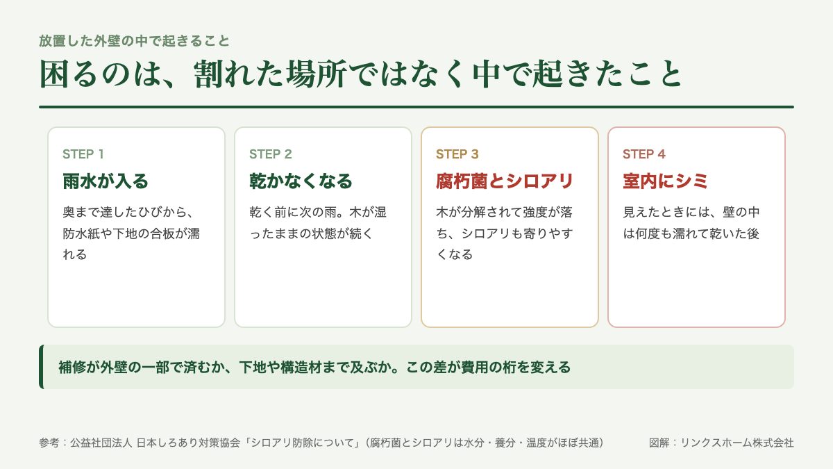 外壁のひび割れを放置した場合に雨水浸入から下地の傷み、木材の腐朽、シロアリへと進む段階を示した図解